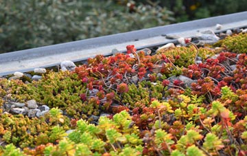 the cost of Woodside green roof installation