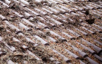 Woodside roof cleaning companies