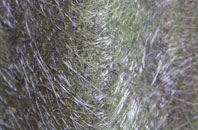 Woodside fibreglass roof work